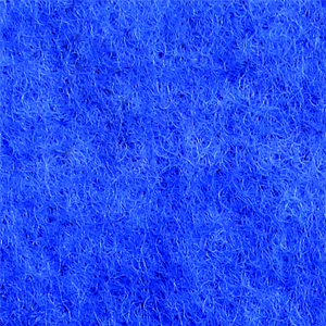 3Q1A0440-26藍鳥
