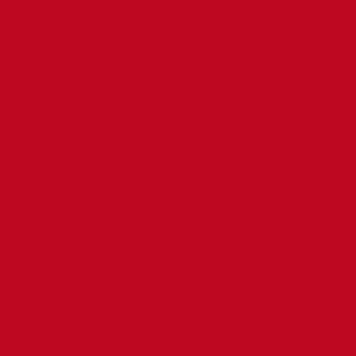 LY-KJ037 【節日紅】.jpg
